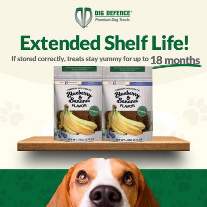 Dig Defence Premium Dog Treats - Blueberry and Banana, Natural Ingredients, Baked Gourmet Snacks for Small & Big Dogs, Healthy Training Treat, 2 Pack