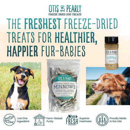 Otis & Pearly Freeze Dried Minnow Dog Treats - Single Ingredient, Made in USA - Healthy Protein Treat for Small, Medium, Large Breeds