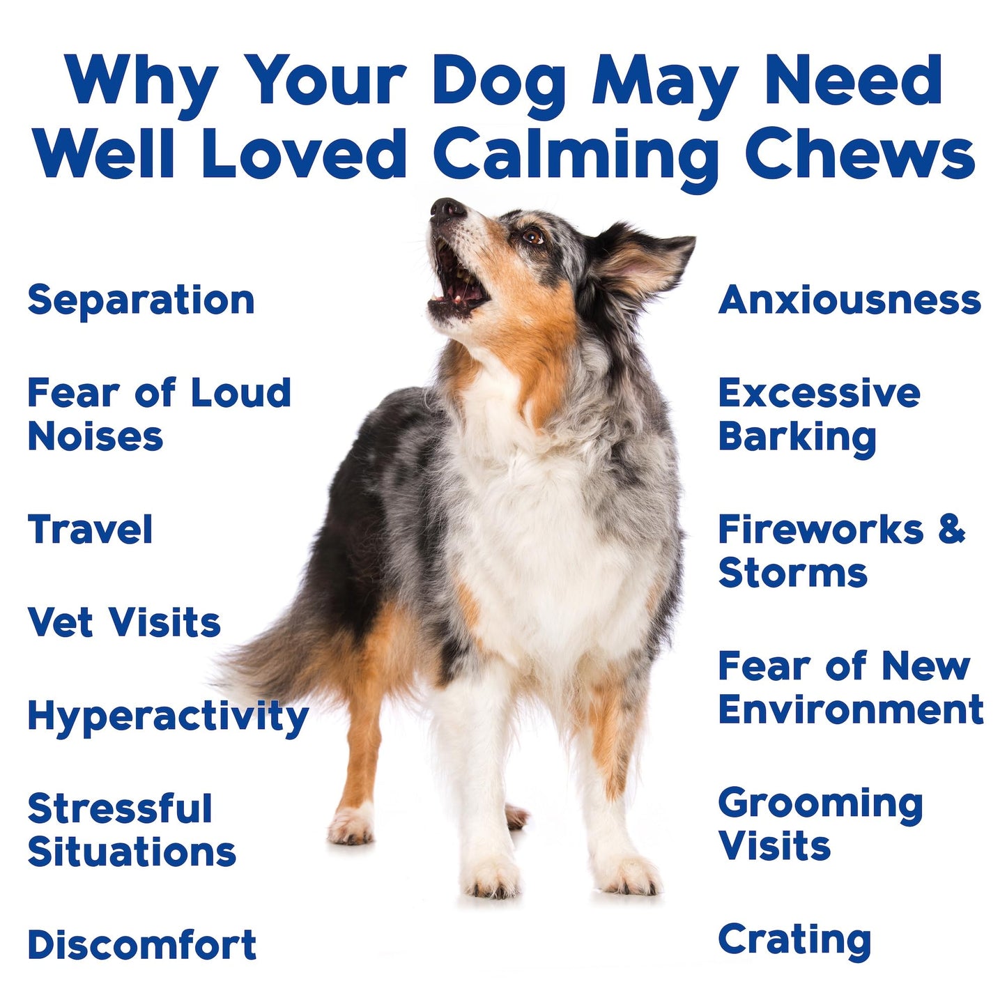 Well Loved Calming Chews for Dogs - Dog Calming Treats, Made in USA, Vet Developed, for Stressful Situations, Separation, Fireworks, Travel, Melatonin, Natural & Holistic, 90 Calming Treats