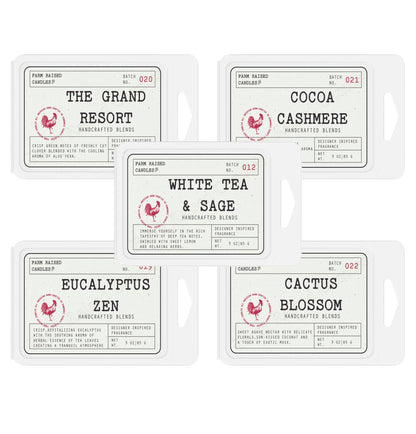Farm Raised Candles Resort Soy Wax Melts Variety Pack – 5 Scents (16 oz Total) – Phthalate-Free, Made in USA – Includes Cashmere, Eucalyptus Zen, White Tea & Sage, Cactus, and Resort