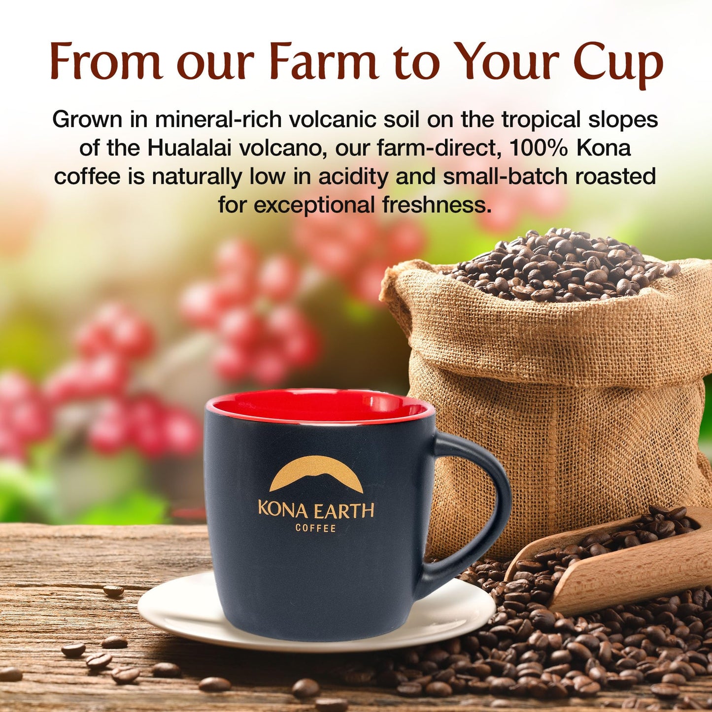 KONA EARTH - Premium, 100% Kona Coffee, Medium Roast, Farm-Fresh Whole Coffee Beans, Micro-Batch-Roasted, 1 lb., Pack of 1
