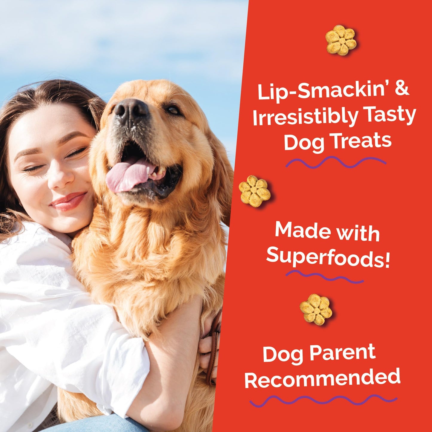 Fruitables Baked Dog Treats, Healthy Pumpkin Treat for Dogs, Low Calorie & Delicious, Free of Wheat, Corn and Soy, Made in The USA, Apple and Crispy Bacon Flavor, 20oz