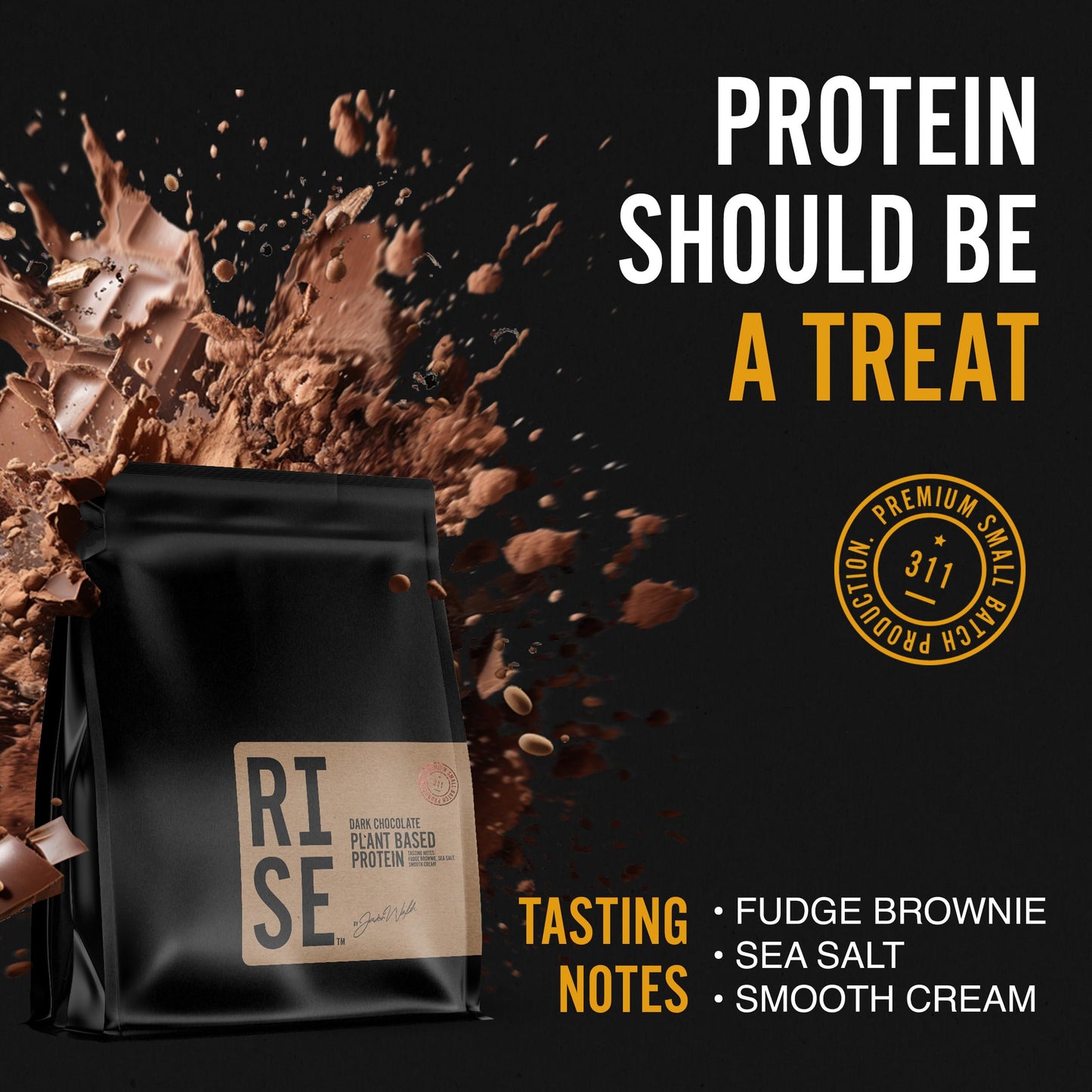RISE311 Dark Chocolate Protein Powder for Women & Men, Easy to Digest, Smooth & Creamy Dark Chocolate Plant Based Protein Powder Supports Overall Well-Being, 15 Servings (30g per Serving)