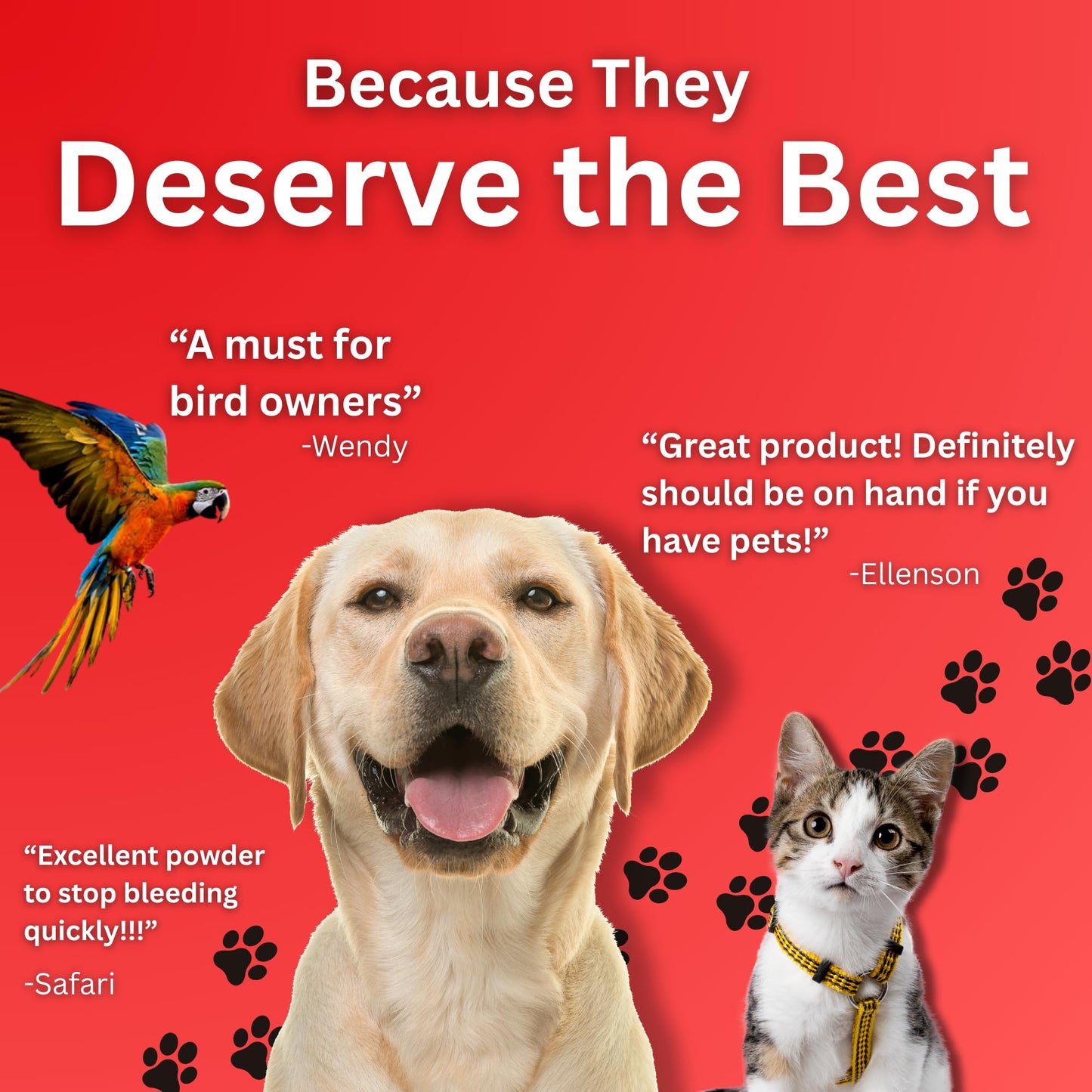 Styptic Powder for Dogs, Cats, and Birds (2 oz) by Evo Dyne | Fast-Acting Blood Stop for Pets | Quick Stop Bleeding Powder for Dog Nail Clipping, Grooming, Cuts and More (1-Pack)