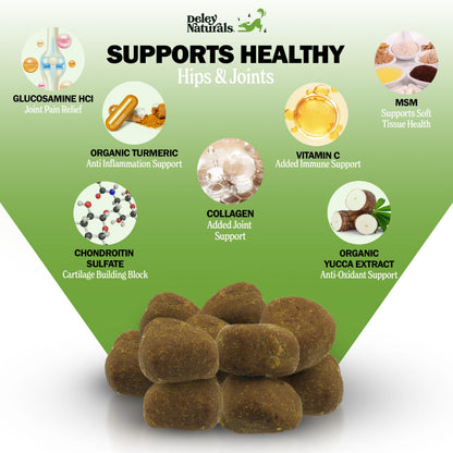 Deley Naturals Hip and Joint Supplement for Dogs - Glucosamine for Dogs with MSM, Turmeric, Chondroitin & Collagen Supplements - Joint Support Chews for Mobility, Flexibility & Comfort - 120 Chews