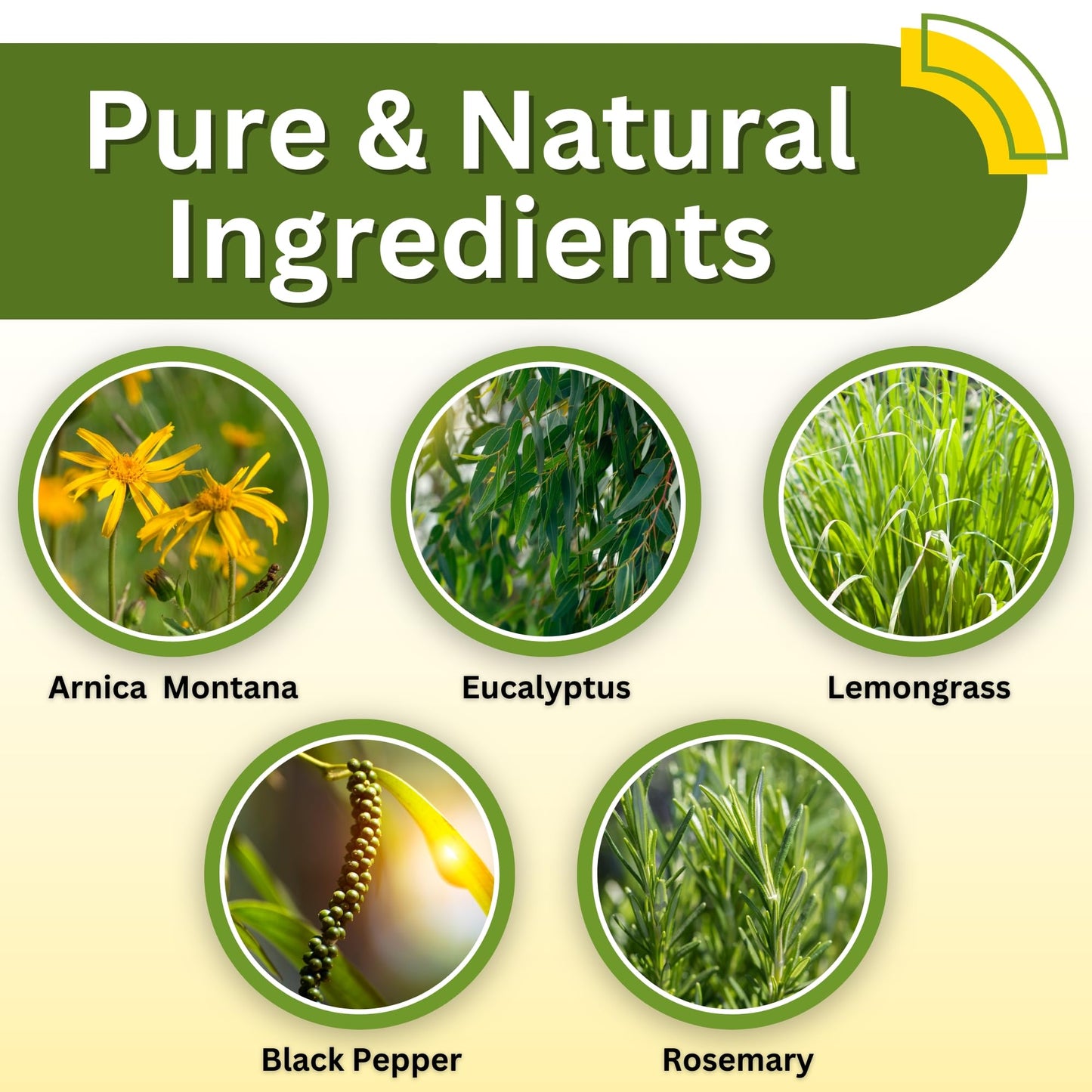 Relief Arnica Cream – Enriched with Lemongrass, Eucalyptus & Rosemary Essential Oils – All Natural Massage Lotion for Sore Muscles & Stiffness. Perfect for Massage Therapy by Brookethorne Naturals