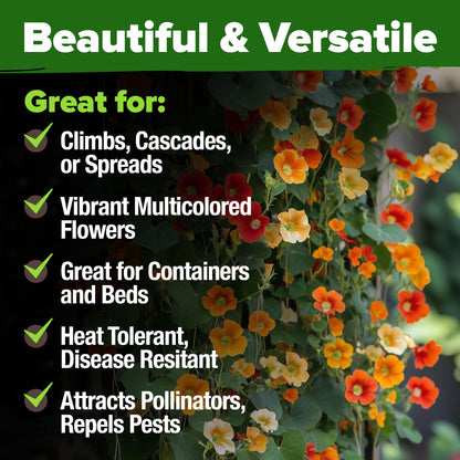 HOME GROWN Nasturtium Seeds Dwarf Tall Trailing Mix –250+ Edible Flower Seeds for Planting Outdoors – Fast Germination, Low-Maintenance Climbing & Trailing Nasturtium (Tropaeolum majus)