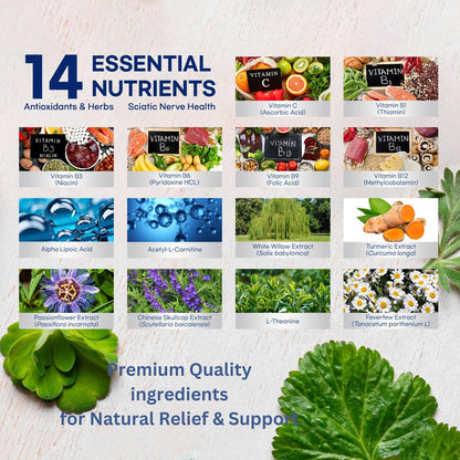 Sciatic Nerve Relief: Advanced Support Supplement for Sciatica – Potent Alpha Lipoic Acid & Turmeric & Herbal Relief Ingredients – Made in USA, 120 Capsules (120 Count (Pack of 1), Unflavored)