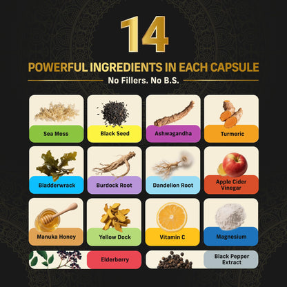 Alpha Tribe Multivitamin for Men with Sea Moss, Black Seed Oil, Ashwagandha, Turmeric Bladderwrack, Burdock,Vitamin C, Elderberry, Manuka, Yellow Dock | Daily Men's Vitamins and Minerals Supplement