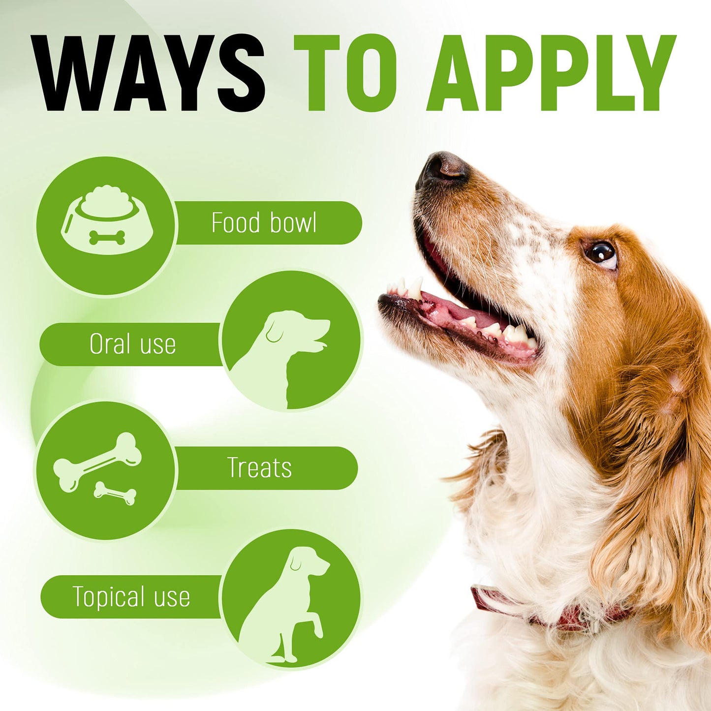 Liquid Probiotics for Dogs & Cats of All Ages | Dog Probiotics to Provide Digestion Balance | Prebiotic Blend for Harmonious Food Absorption | 3 Billion CFU | Herbal Flavor | 2 Oz