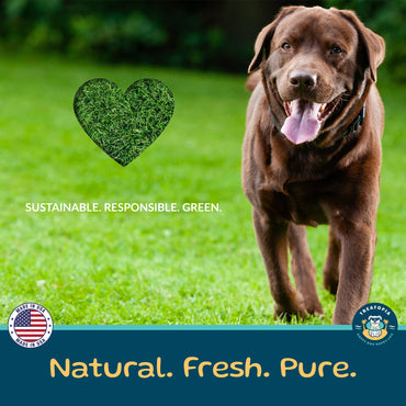 TREATOPIA Beef Lung Nuggies Dog Treats - All-Natural, Sustainable, Healthy, High Protein, Hand-Trimmed, Slow-Roasted, Made in The USA, Nutritious, No Additives, No Fillers