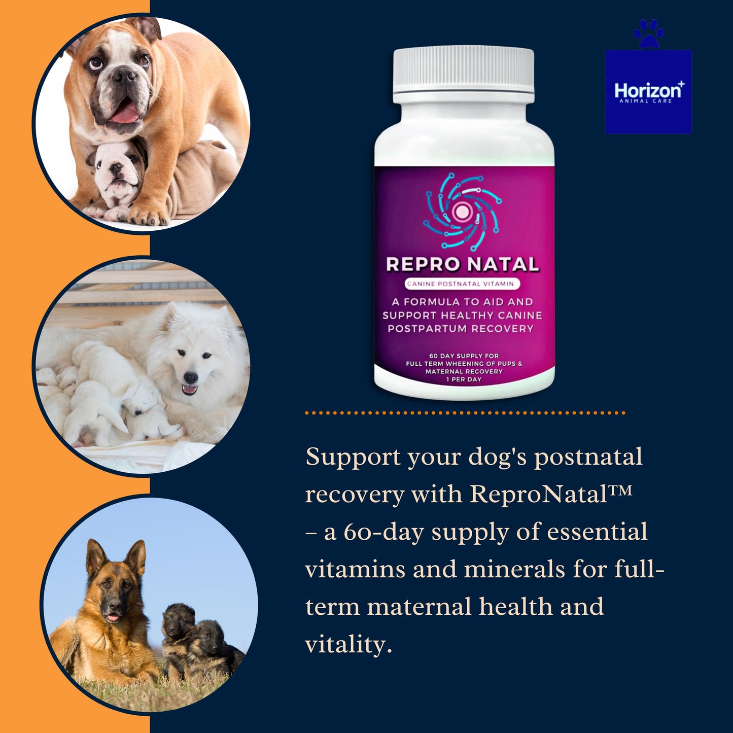 Canine Postnatal and Postpartum Vitamin Capsules for Dogs - 60-Day Supply- Aid in Full-Term Maternal Recovery, Improve Health After Birth -ReproNatal™ Dog Supplement
