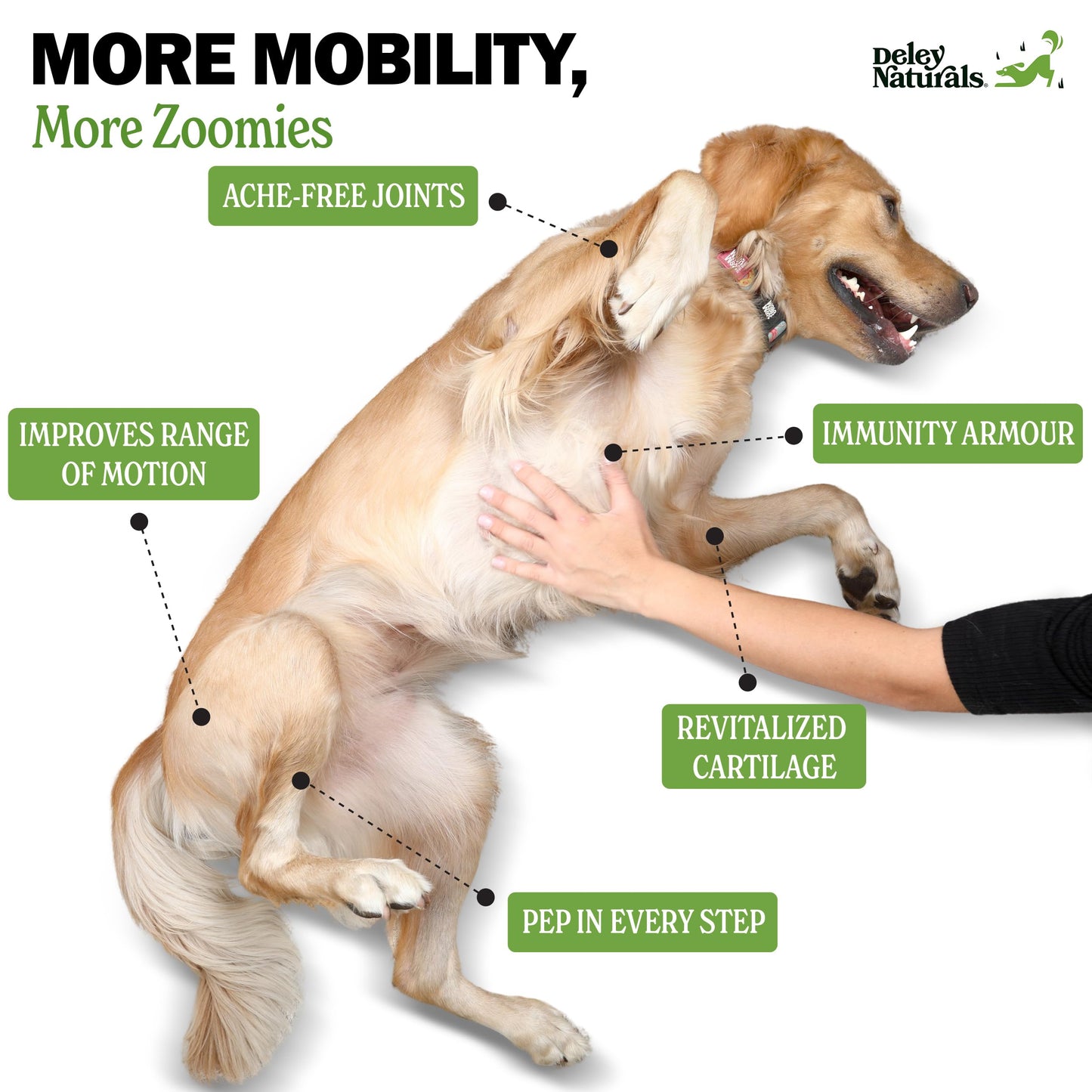 Deley Naturals Hip and Joint Supplement for Dogs - Glucosamine for Dogs with MSM, Turmeric, Chondroitin & Collagen Supplements - Joint Support Chews for Mobility, Flexibility & Comfort - 120 Chews