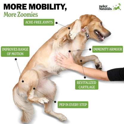 Deley Naturals Hip and Joint Supplement for Dogs - Glucosamine for Dogs with MSM, Turmeric, Chondroitin & Collagen Supplements - Joint Support Chews for Mobility, Flexibility & Comfort - 120 Chews