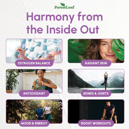 ForestLeaf DIM Supplement - 300mg DIM Estrogen Supplement for Women/Men - Diindolylmethane with BioPerine Black Pepper - Support for Detox, Metabolism, Hormone Balance & Menopause - 90 Caps