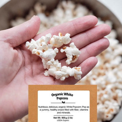 Be Still Farms White Organic Popcorn Kernels (4.8lb) - Hulless Uncooked Corn Bulk Ideal for Popping - Healthy Microwave Snacks Great for Movie Night - USA Grown | USDA Certified | Non-GMO | Vegan