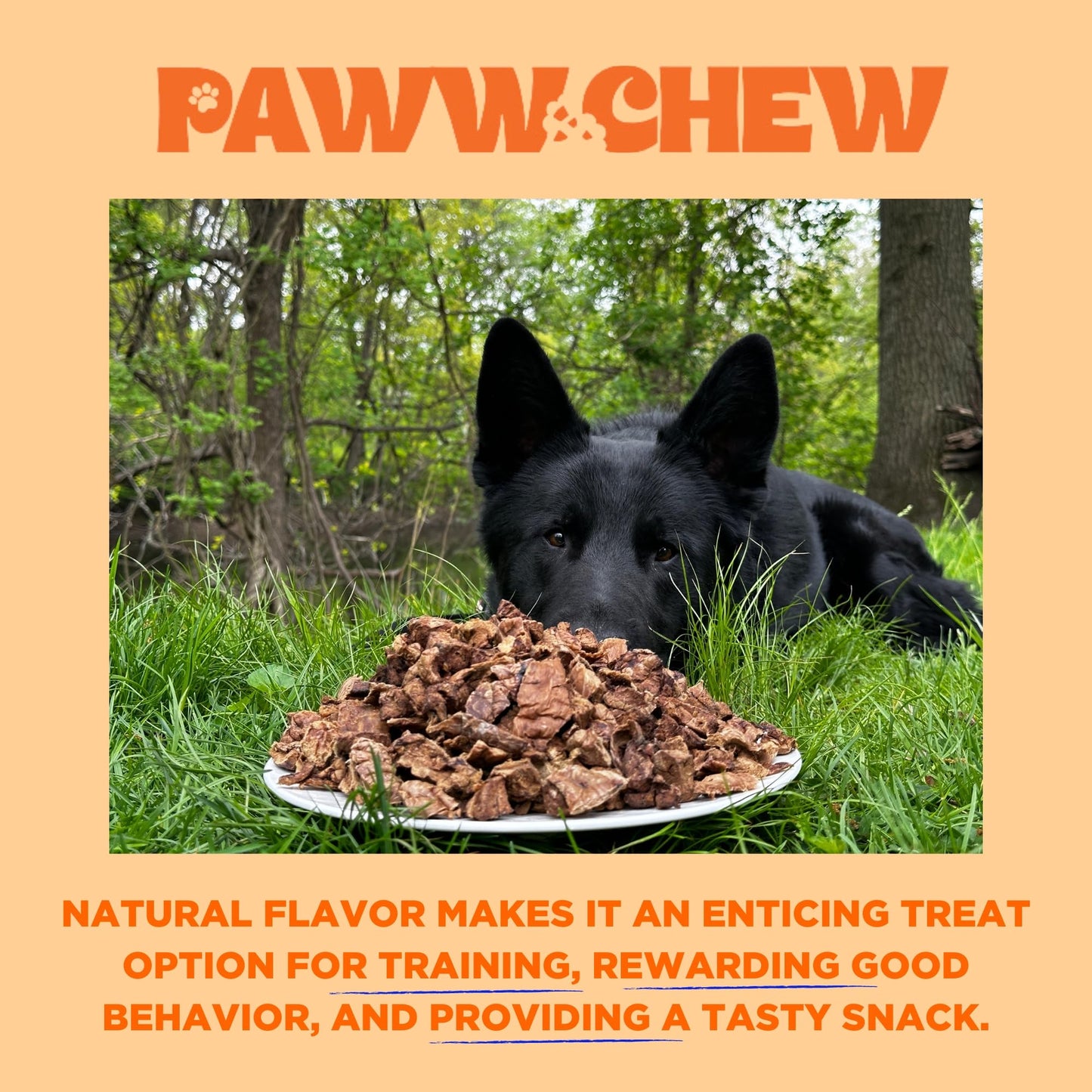 PAWW CHEW Beef Lung Dog Treats, 100% Natural, Single Ingredient, Made in The USA, Dried & Dehydrated, High Protein, High Value Dog Training Treats, Grain Free, Low-Odor Free for All Breeds
