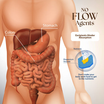 Dr Clark Store Intestine Support & Cleanse Kit - with Freeze-Dried Green Black Walnut Hulls, Wormwood, and Cloves-Helps Maintain Optimum Intestinal Function
