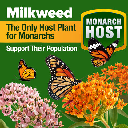 HOME GROWN Monarch Butterfly Wildflower Seeds Mix (2oz) 20000+ 𝗡𝗢𝗡-𝗚𝗠𝗢 𝗨𝗦𝗔 Milkweed Seeds for Monarch Butterflies, Bulk Perennial Wildflowers, Annual Flowers for Pollinator Gardens