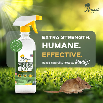 Reliant Pet Peppermint Oil Mouse Repellent Spray 16oz - Natural Mice Deterrent for Indoor & Outdoor Use - Mouse Repellent Spray for Home, Car Engines, RV - Pet Safe Pest Control - Made in USA