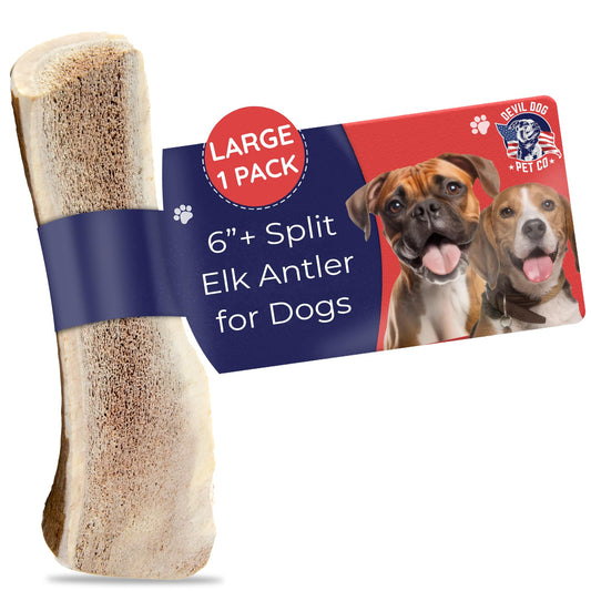 Devil Dog Pet Co. Split Elk Antlers for Dogs, Large 6"+, 1 Pack, Grade A Long Lasting Chew for Aggressive Chewers, Premium USA Naturally Shed Antler – Healthy, No Odor, Durable Dog Chew