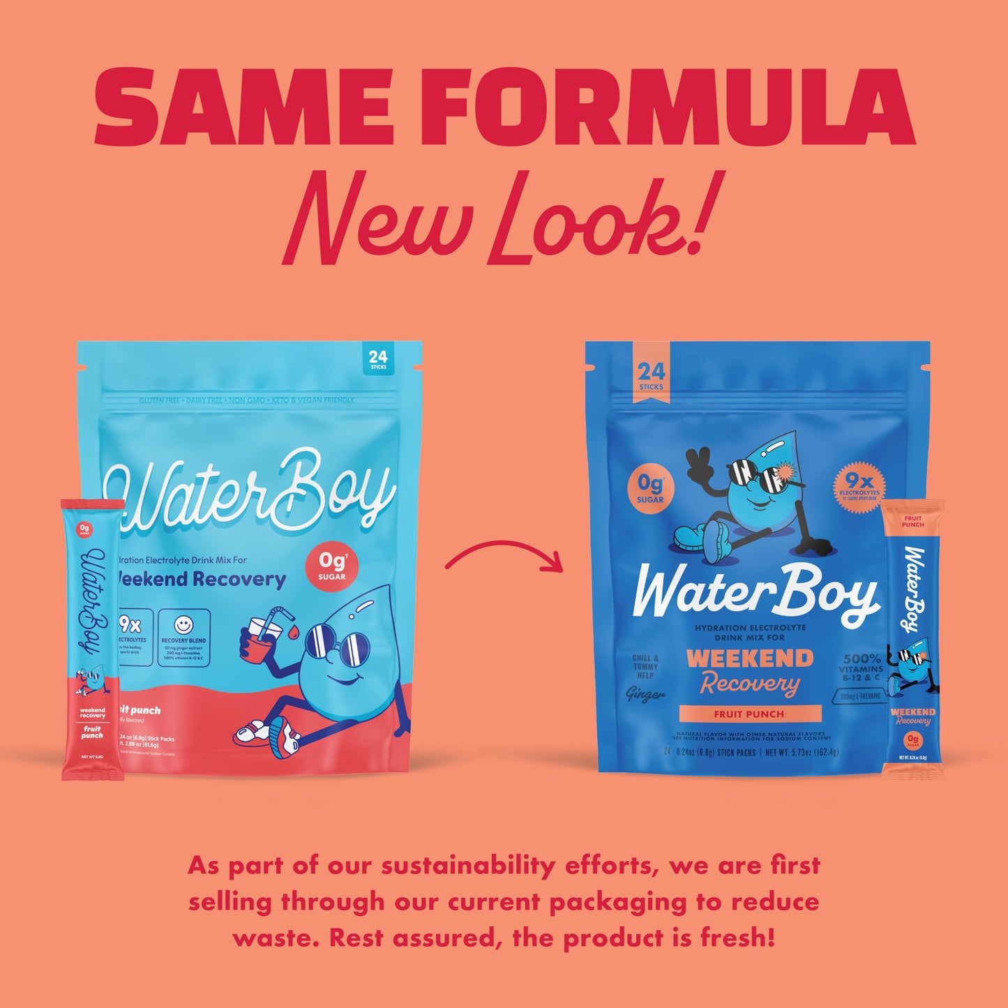 Waterboy Weekend Recovery | 3,200mg Electrolyte Powder Packets | Ginger + L-Theanine + Vitamins | No Sugar, All Natural, Gluten Free | 24 Drink Stick Mixes (Fruit Punch)