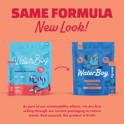 Waterboy Weekend Recovery | 3,200mg Electrolyte Powder Packets | Ginger + L-Theanine + Vitamins | No Sugar, All Natural, Gluten Free | 24 Drink Stick Mixes (Fruit Punch)