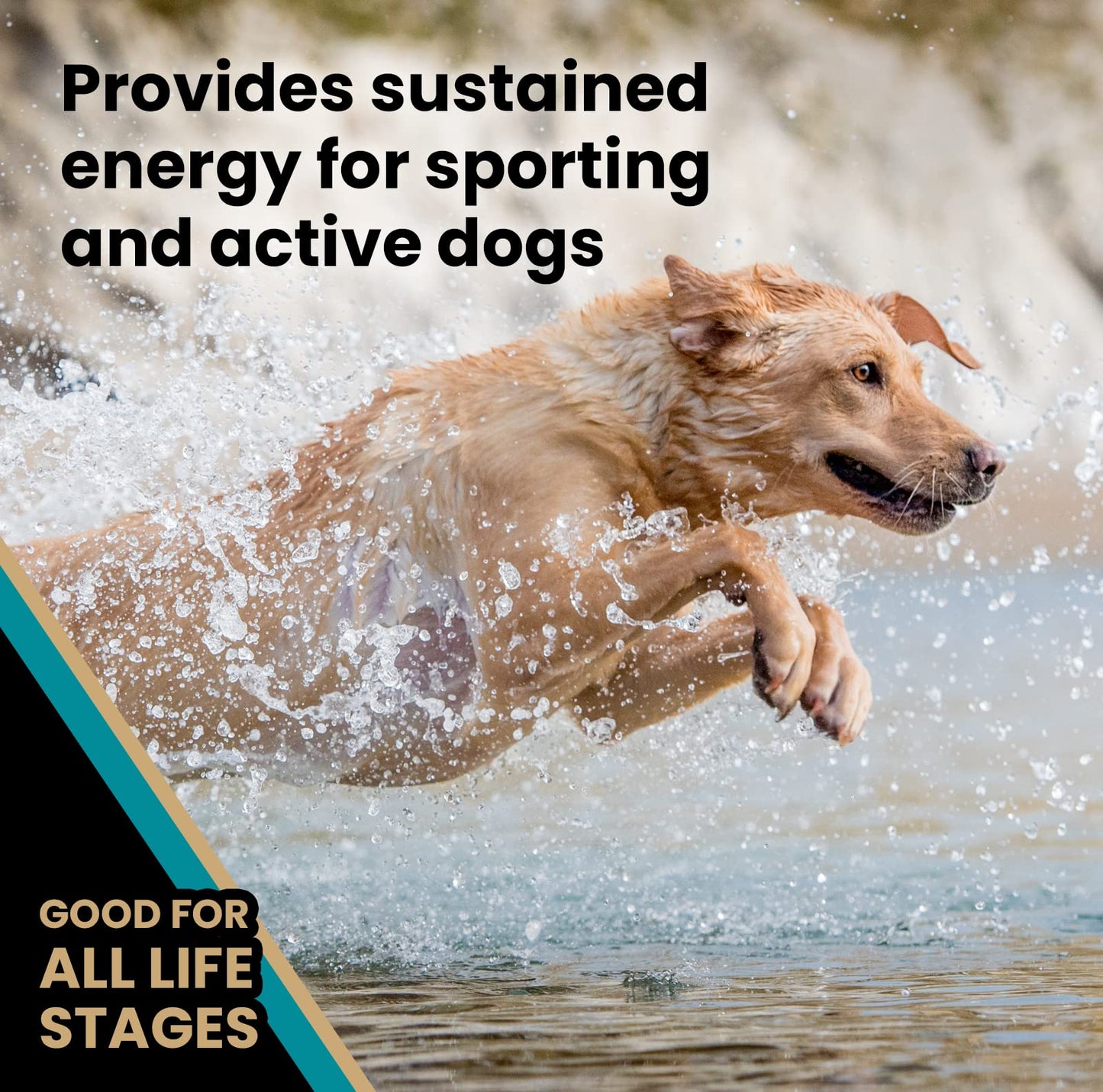 VICTOR Super Premium Dog Food – Hi-Pro Plus Dry Kibble – High Protein Dog Food with 30% Protein – Beef, Chicken, Pork, Fish Meals, Gluten Free - for High Energy and Active Dogs & Puppies, 15lbs