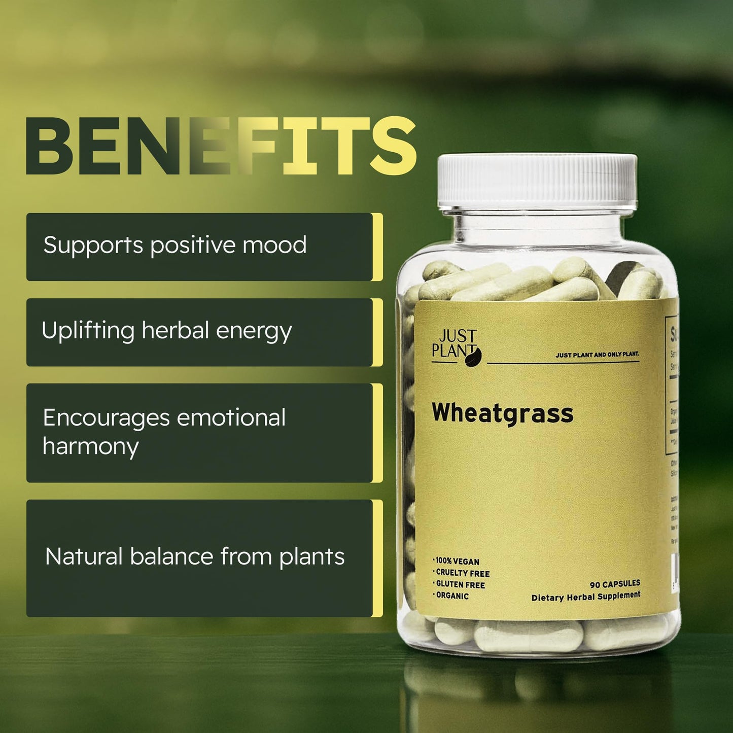 Organic Wheatgrass Capsules 500 mg, 90 Capsules | Vegan, Gluten-Free | Green Superfood Supplement for Detox, Energy, Digestion & Immune Support