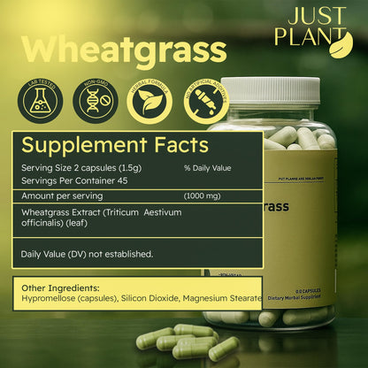 Organic Wheatgrass Capsules 500 mg, 90 Capsules | Vegan, Gluten-Free | Green Superfood Supplement for Detox, Energy, Digestion & Immune Support