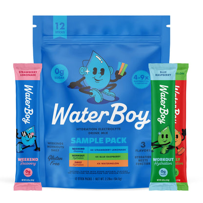 Waterboy Hydration Recovery Variety | 4-9x Electrolyte Powder Packets | Ginger + L-Theanine + L-Glutamine + Vitamins | No Sugar, All Natural, Gluten Free | 12 Drink Stick Mixes (Variety Pack)