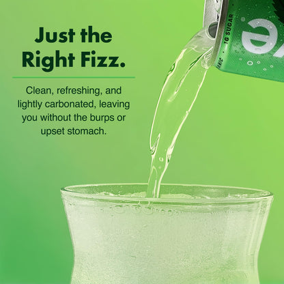 WAVE Organic Sparkling Drink | Low Calorie Drink, Mint Lime Lightly Carbonated | Great Natural Soda Alternative | USA Made Kosher No Added Sugar, Color, & Artificial Ingredients |12 Pack
