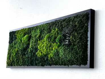 Unique Moss Art - Live Preserved Moss Wall Art - Moss Wall Wooded frame Art - Custom made - Home Decor - Well Decor - Office Decor. Handmade - Made in USA (13" x 17", Black)