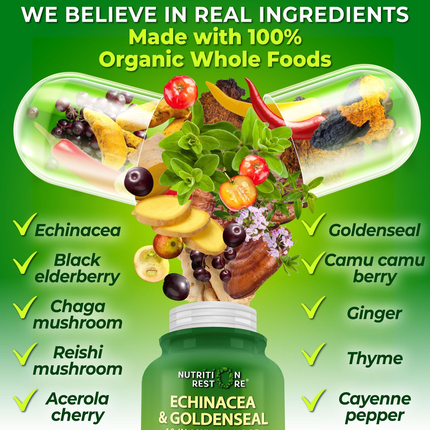 Echinacea Goldenseal Capsules - 10 in 1 Immune Support Supplement - 1455mg - Vegan Echinacea Capsules Supplement Made With Organic Whole Foods - Herbal Immune System Support - 2 Month Supply