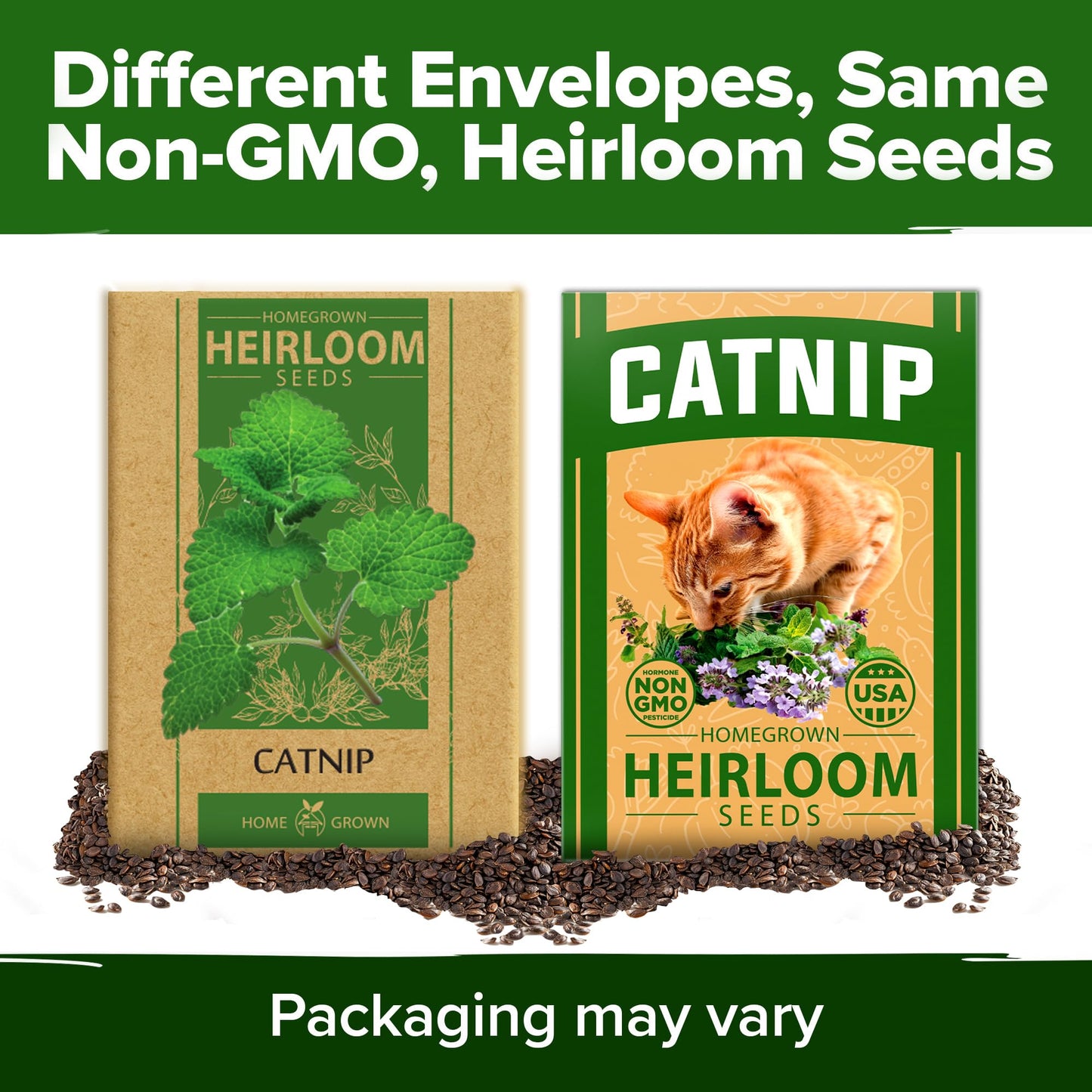 HOME GROWN 𝗨𝗦𝗔 𝗣𝗥𝗘𝗠𝗜𝗨𝗠 Catnip Seeds (Bulk Pack) 𝗡𝗢𝗡-𝗚𝗠𝗢 Heirloom Herb 2,116 Seeds - Indoor or Outdoor Seed - High-Germination Cat Nip - Cat Safe Plants (Nepeta cataria)