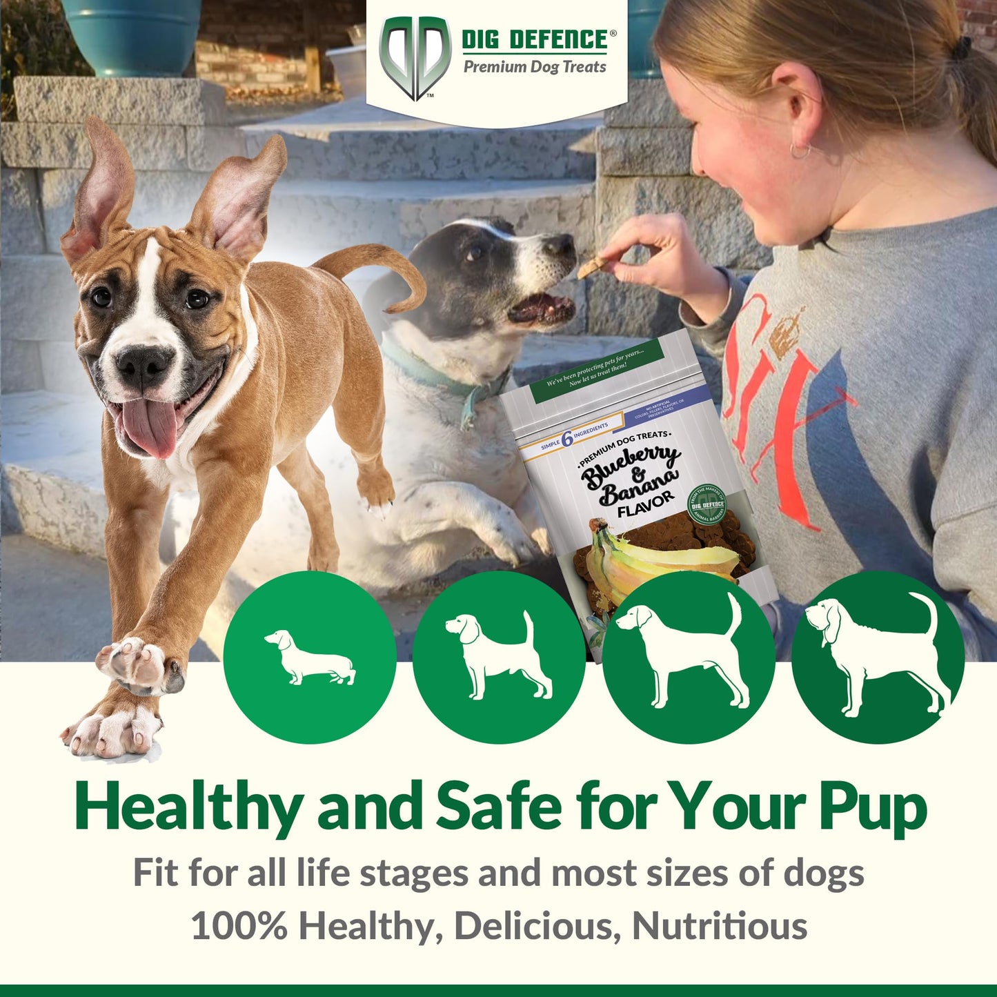 Dig Defence Premium Dog Treats - Blueberry and Banana, Natural Ingredients, Baked Gourmet Snacks for Small & Big Dogs, Healthy Training Treat, 2 Pack