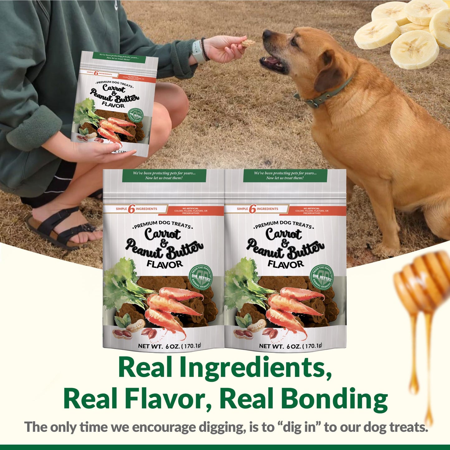 Dig Defence Premium Dog Treats - Carrot and Peanut Butter, Natural Ingredients, Baked Gourmet Snacks for Small & Big Dogs, Healthy Training Treat, 2 Pack