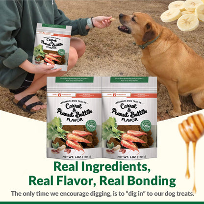 Dig Defence Premium Dog Treats - Carrot and Peanut Butter, Natural Ingredients, Baked Gourmet Snacks for Small & Big Dogs, Healthy Training Treat, 2 Pack