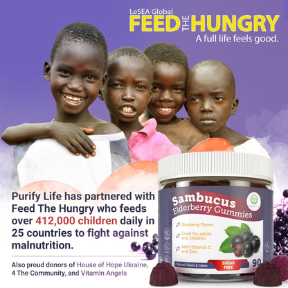 Purify Life Sugar-Free Elderberry Gummies with Vitamin C & Zinc for Adults and Kids, Immune Support Supplement for Respiratory Health, Sambucus Elderberry Antioxidant Gummies - Vegan, 90 Count