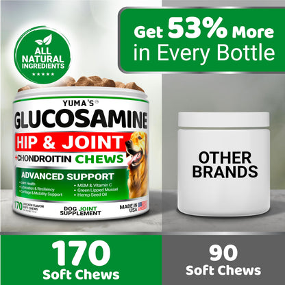 YUMA'S Glucosamine for Dogs - Hip and Joint Supplement for Dogs - Glucosamine Chondroitin Chews - Joint Pain Relief Supplement with MSM - Advanced Health - Mobility Support - Made in USA