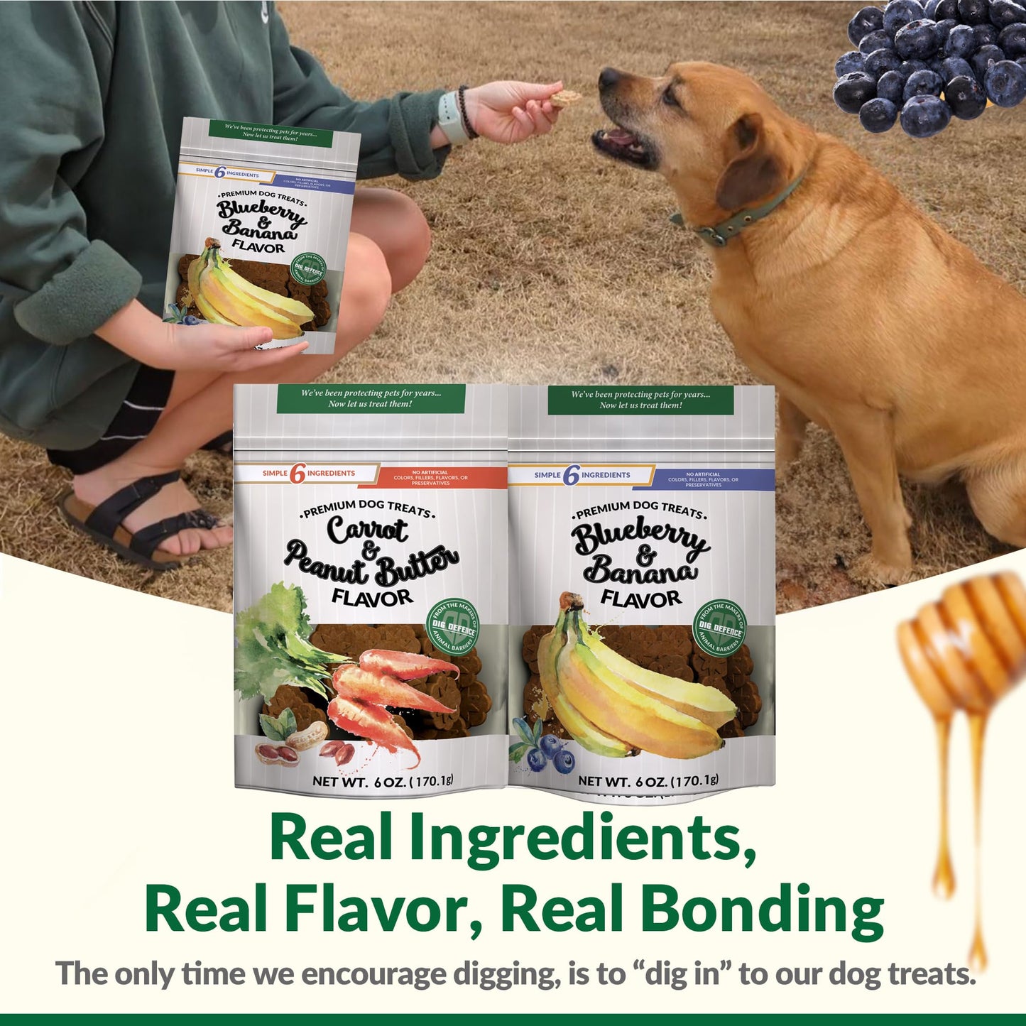 Dig Defence Premium Dog Treats - Carrot/Peanut Butter and Blueberry/Banana, Natural Ingredients, Baked Gourmet Snacks for Small & Big Dogs, Healthy Training Treat, 2 Pack