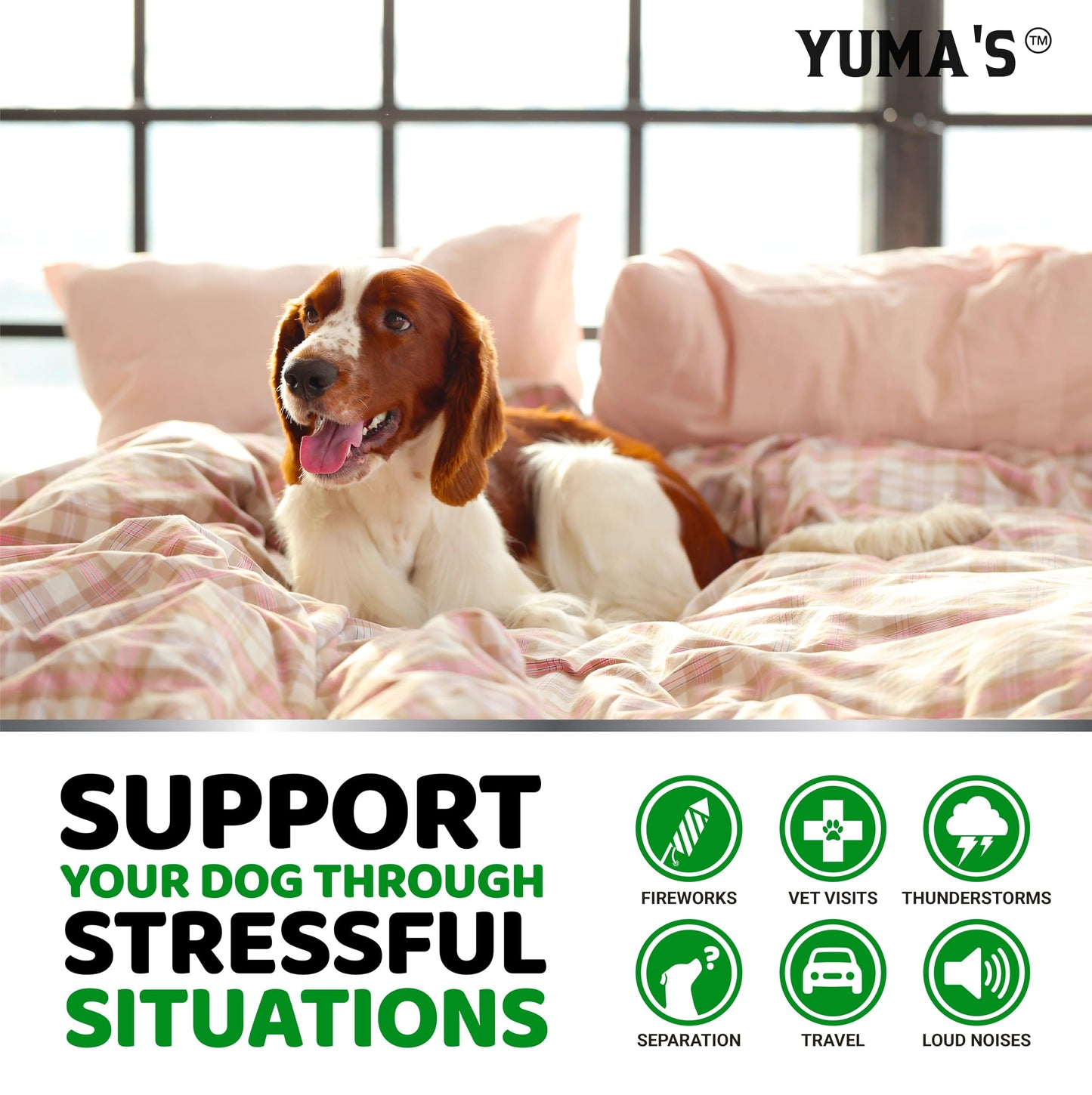 YUMA'S Hemp Calming Chews for Dogs - Advanced Dog Calming Chews - Anxiety Relief Treats - Separation Aid, Barking, Stress Relief, Thunderstorms - Melatonin - Hemp Oil - Made in USA