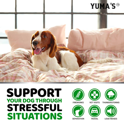 YUMA'S Hemp Calming Chews for Dogs - Advanced Dog Calming Chews - Anxiety Relief Treats - Separation Aid, Barking, Stress Relief, Thunderstorms - Melatonin - Hemp Oil - Made in USA