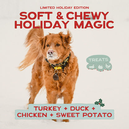 Smart Cookie Turducken Holiday Dog Treats - Turkey, Duck and Chicken Christmas Dog Treats - Healthy, All Natural, Grain Free, Human-Grade - Made in USA - 5oz