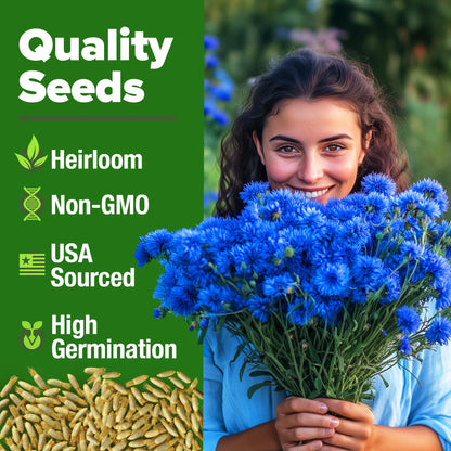 HOME GROWN Bachelor Button Seeds Tall Blue - 6000 Cornflower, Stunning Blue Blooms for Wildflower Gardens, Non-GMO Flowers & Pollinator-Friendly Spaces, Low Maintenance Flower Seeds (Centaurea cyanus)
