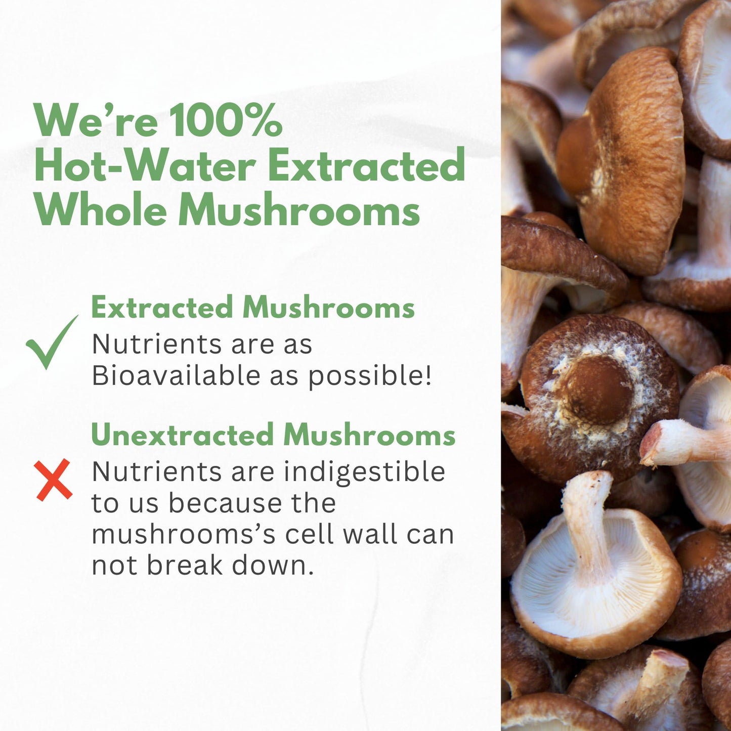 Mushroom Supplement Extracts of Lions Mane Cordyceps Chaga Reishi Turkey Tail Maitake Shiitake Capsules - Natural Vitamins Minerals Antioxidants Supplement - Made in The USA