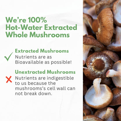 Mushroom Supplement Extracts of Lions Mane Cordyceps Chaga Reishi Turkey Tail Maitake Shiitake Capsules - Natural Vitamins Minerals Antioxidants Supplement - Made in The USA