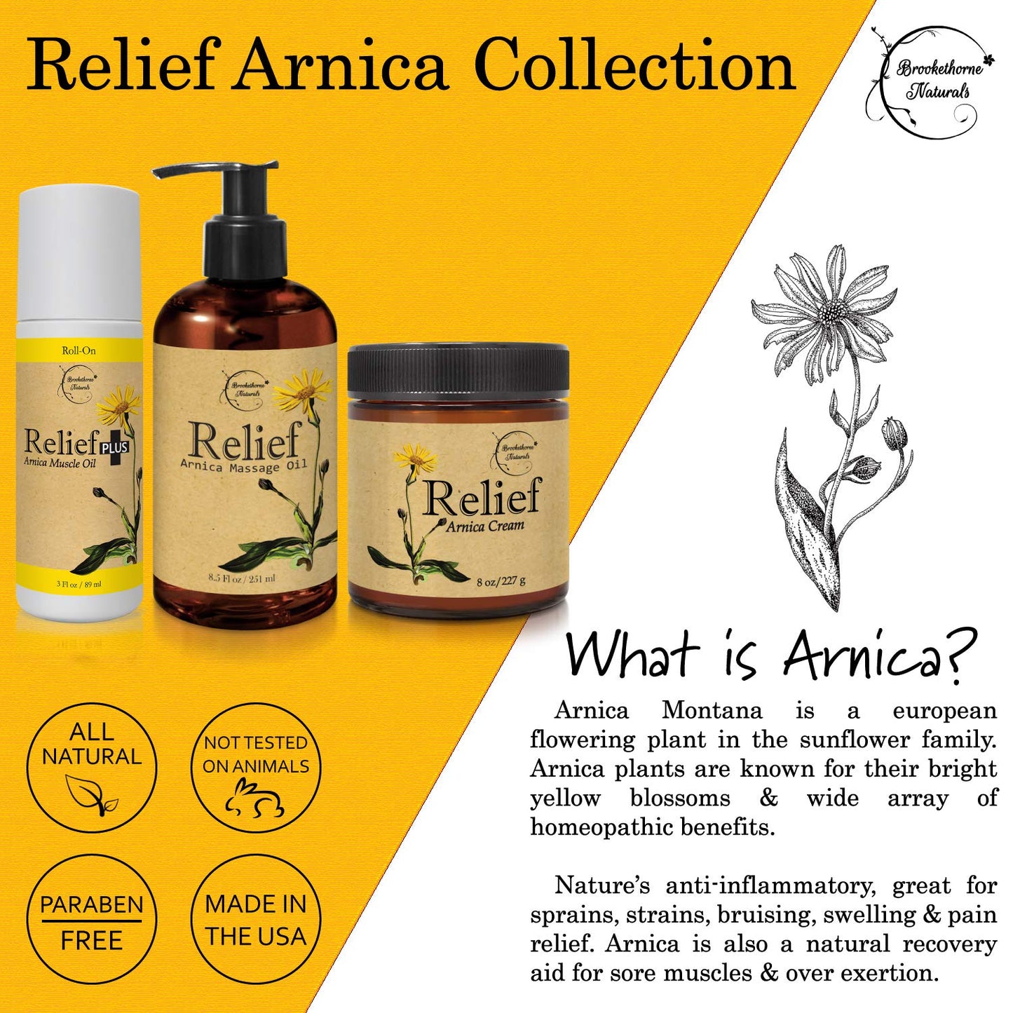 Relief Arnica Cream – Enriched with Lemongrass, Eucalyptus & Rosemary Essential Oils – All Natural Massage Lotion for Sore Muscles & Stiffness. Perfect for Massage Therapy by Brookethorne Naturals