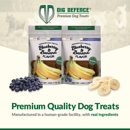 Dig Defence Premium Dog Treats - Blueberry and Banana, Natural Ingredients, Baked Gourmet Snacks for Small & Big Dogs, Healthy Training Treat, 2 Pack