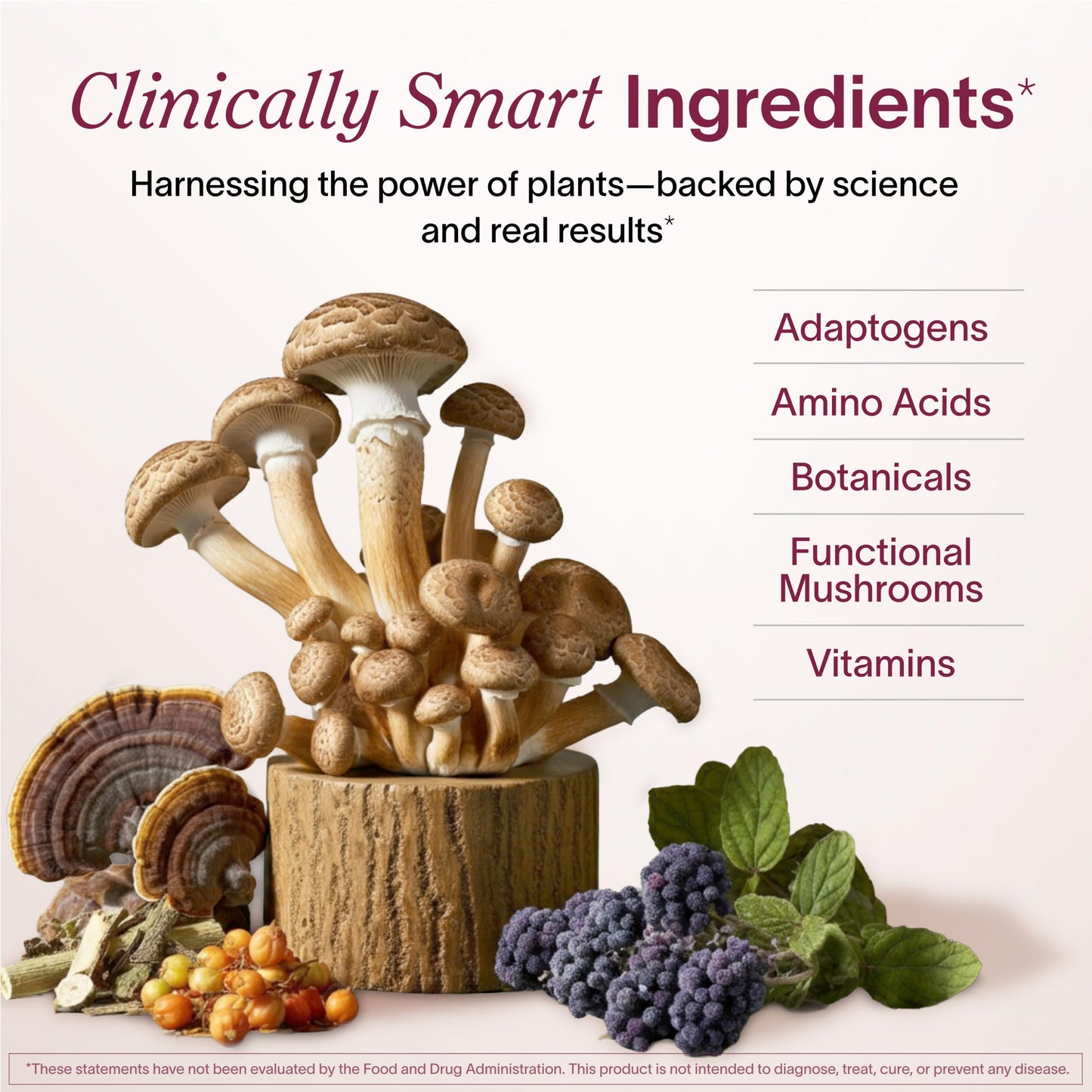 Ladywell Daily Hormone Balance Capsules - Targeted Women's Health Supplement - Adaptogens, Vitamins, Functional Mushrooms, Amino Acids - Science-Backed, Plant-Based, Naturally-Effective - 60 Capsules